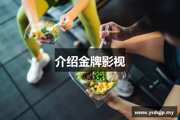 介绍金牌影视